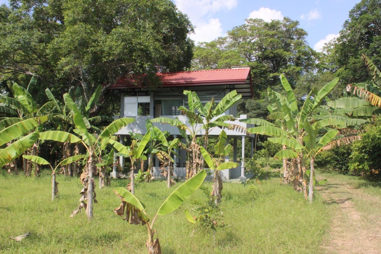 Forest Tree Top Holiday Resort Buttala 外观 照片