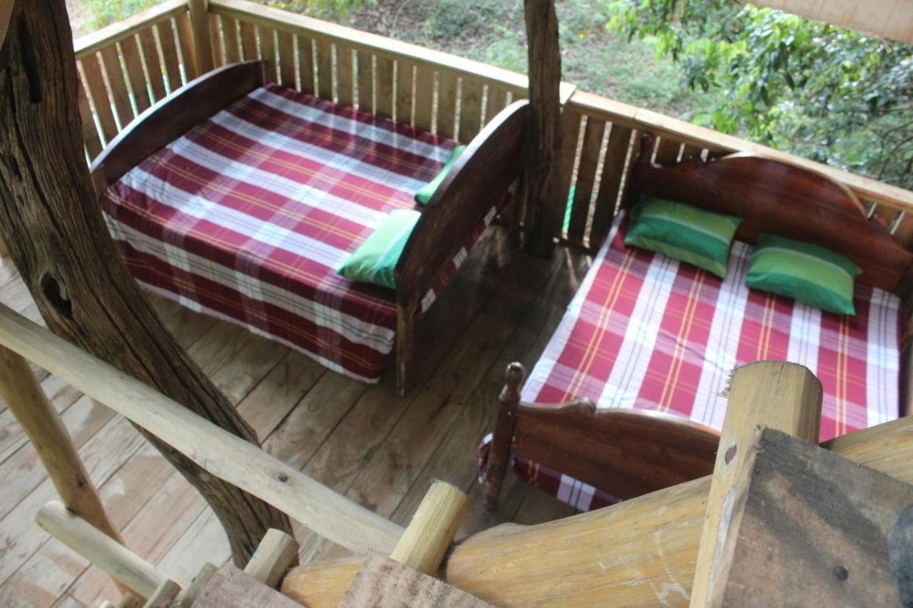 Forest Tree Top Holiday Resort Buttala 外观 照片