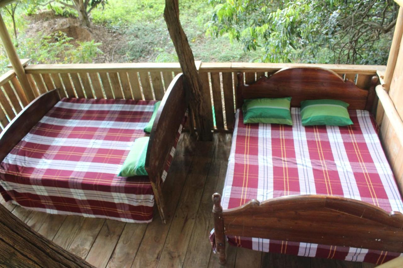 Forest Tree Top Holiday Resort Buttala 外观 照片