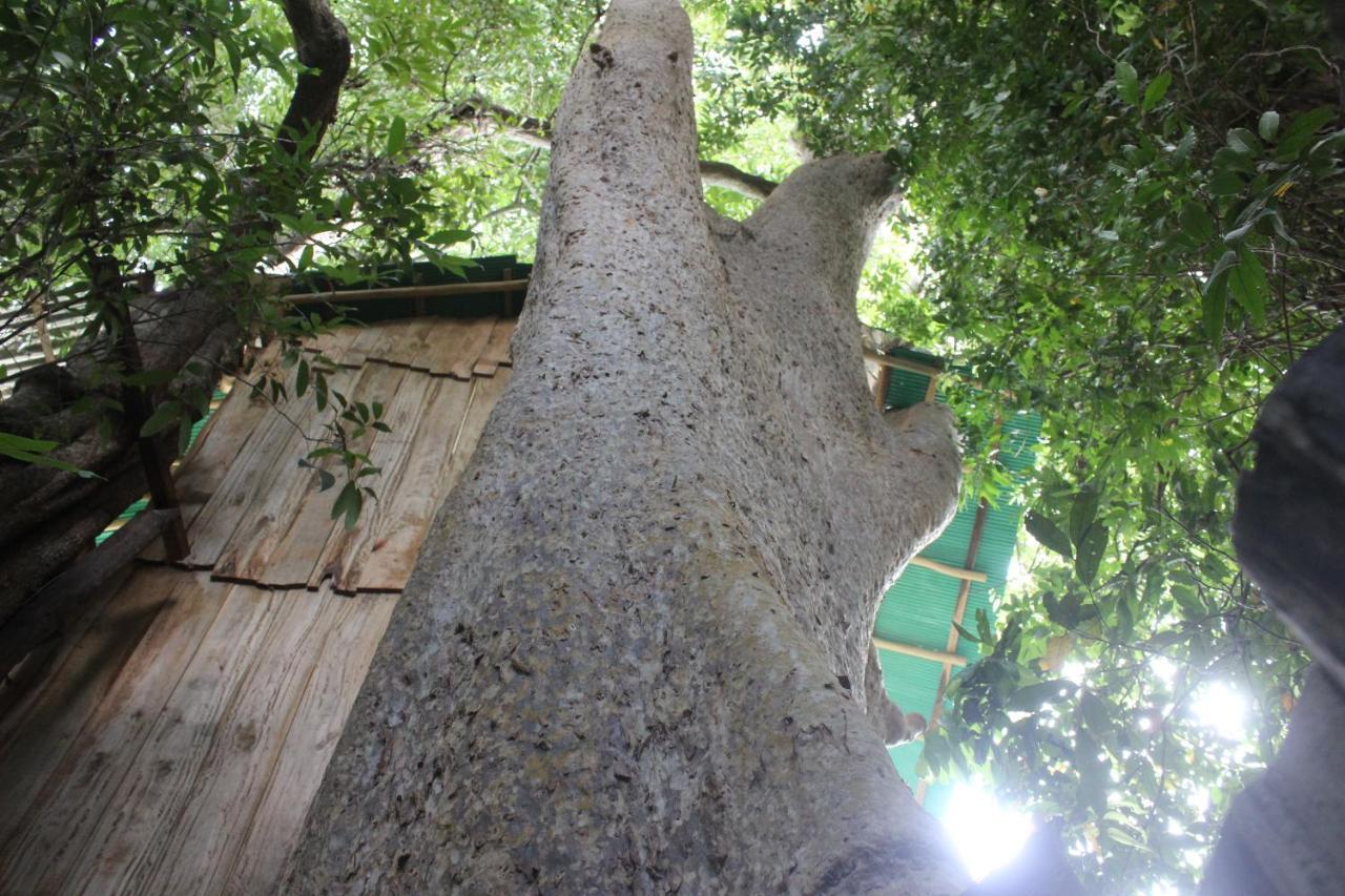 Forest Tree Top Holiday Resort Buttala 外观 照片