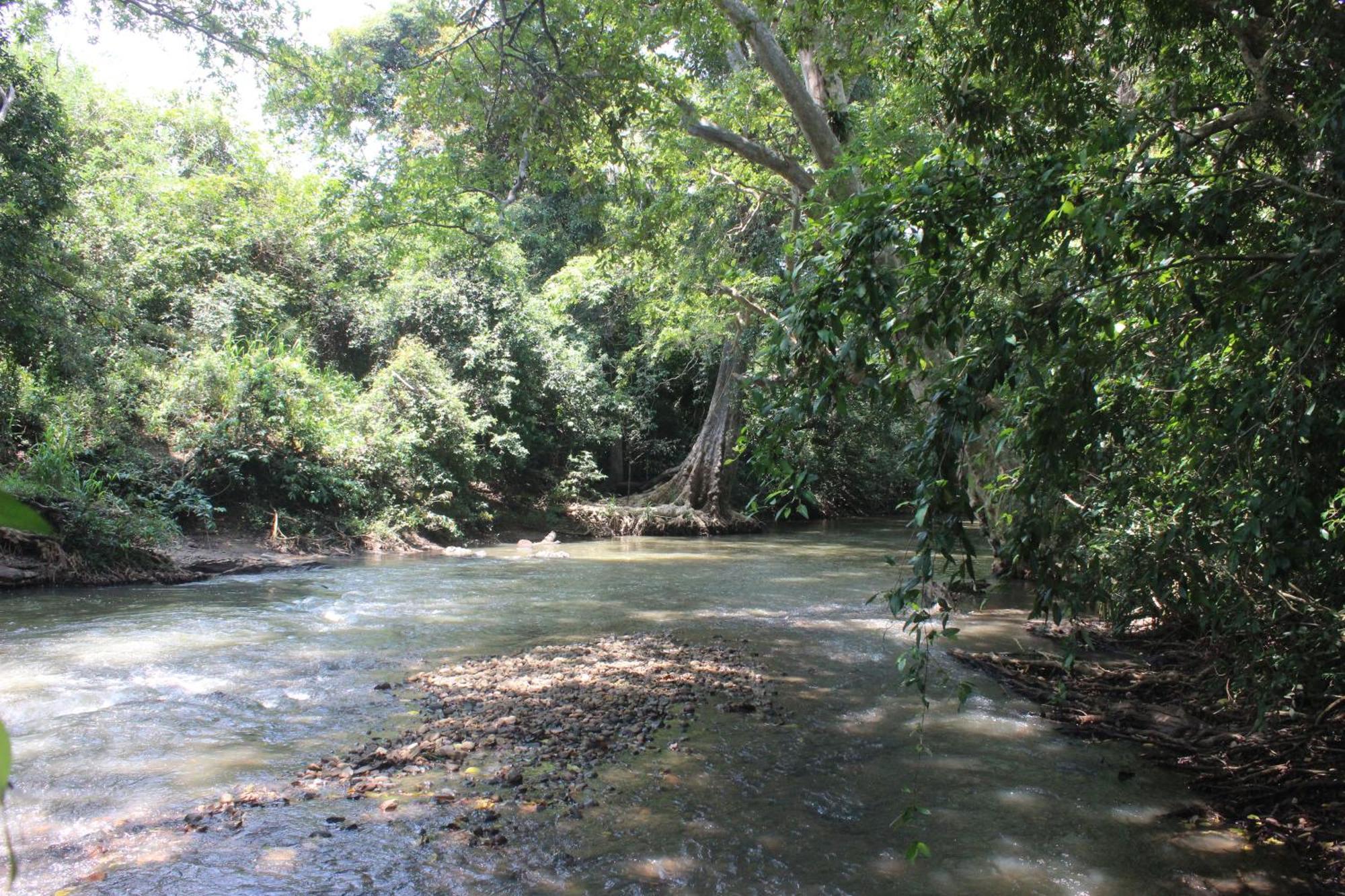 Forest Tree Top Holiday Resort Buttala 外观 照片